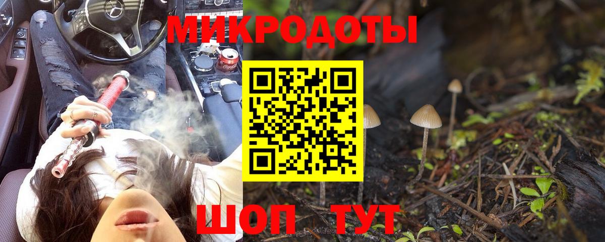 Северодвинск  Галлюциногенные грибы ЛСД  Галлюциногенные грибы прущие грибы  Вход с VPN 